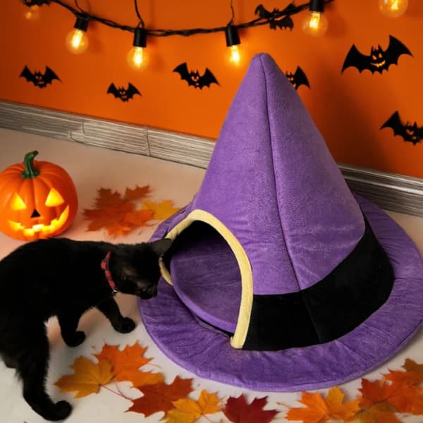 Black cat exploring a purple witch hat cat bed with plush enclosed sleeping area