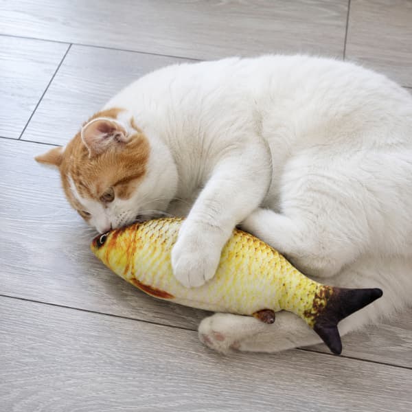 White and orange cat cuddling and playing with a realistic plush fish cat toy on a wooden floor indoors