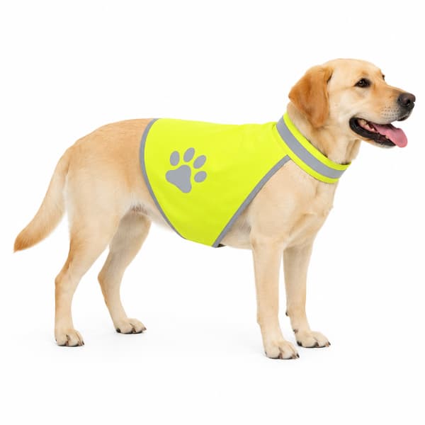 Golden Labrador wearing a high visibility reflective dog safety vest with reflective trim, designed to help improve visibility during evening walks, early morning outings and low-light outdoor adventures.
