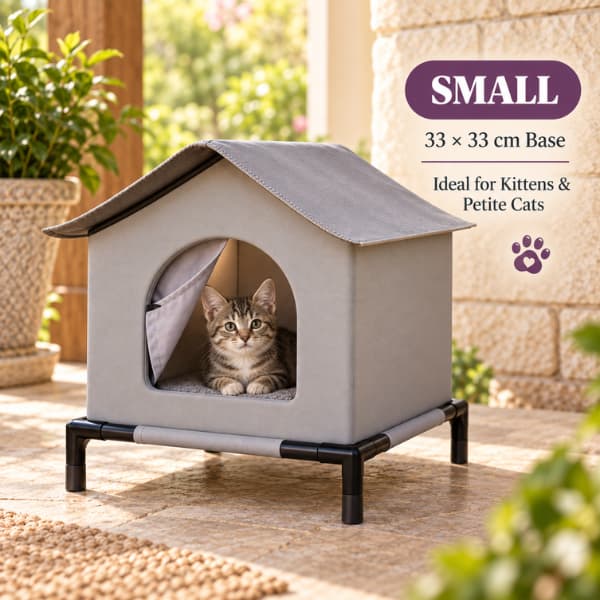 Petite tabby kitten inside the small raised outdoor cat shelter with a 33 by 33 cm base