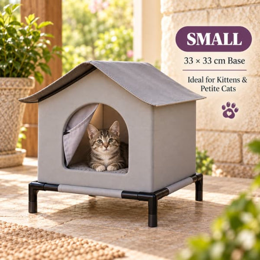 Petite tabby kitten inside the small raised outdoor cat shelter with a 33 by 33 cm base