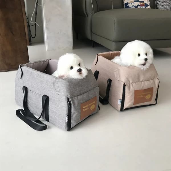 dogs sitting safely in car booster seat