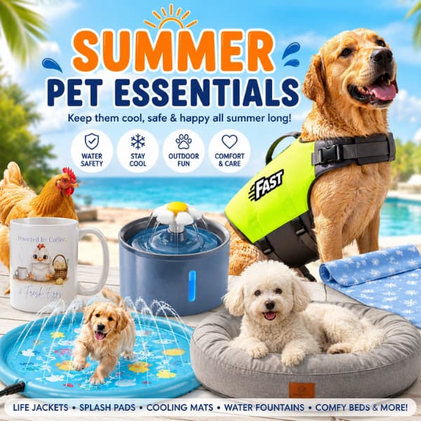 Summer pet essentials collection featuring dog life jackets cooling mats splash pads water fountains and pet beds