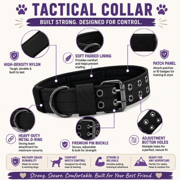 Heavy duty tactical dog collar feature guide showing reinforced nylon padded lining metal D ring secure buckle and adjustable fit for medium and large dogs