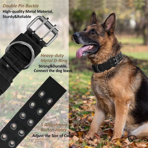 German Shepherd wearing a heavy duty tactical dog collar with reinforced metal buckle D ring and adjustable fit for training walking and outdoor adventures
