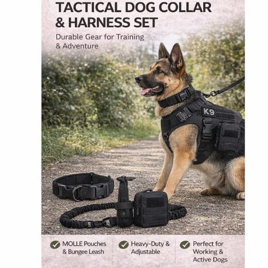 tactical dog harness and collar set on German shepherd with leash and pouches