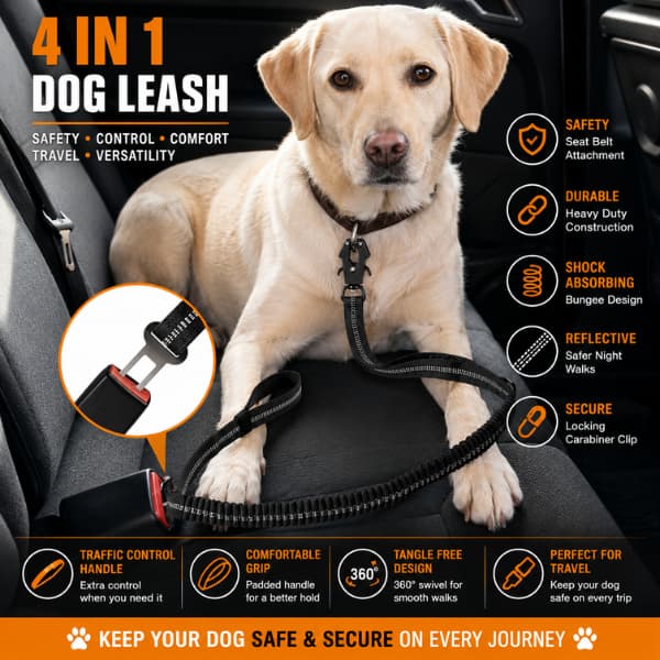 Labrador secured in a car using a reflective tactical bungee dog leash with seatbelt attachment for safe pet travel