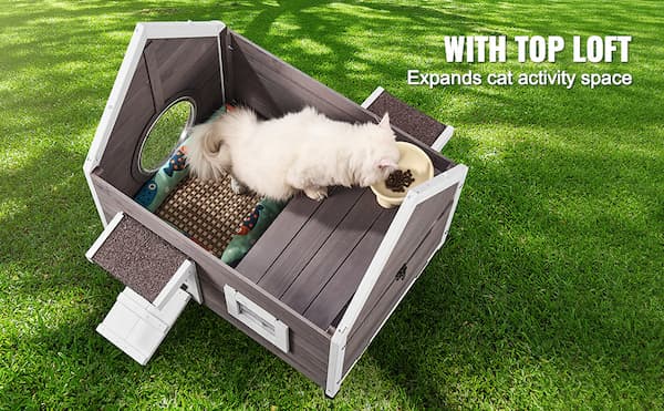 Premium cedar outdoor cat house with asphalt roof and escape door placed on grass – weatherproof wooden shelter for feral and outdoor cats.